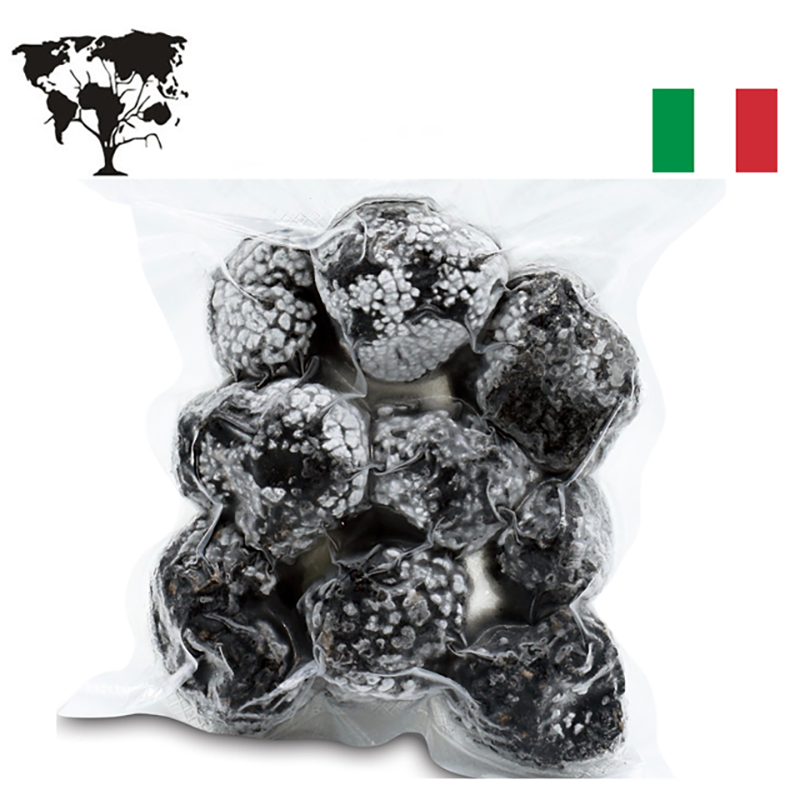 tartufo estivo italiano congelato tartufo italiano estivo congelato